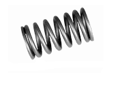 Valve springs