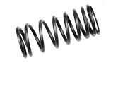 Valve springs 