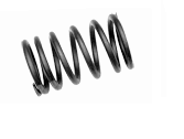 Valve springs 