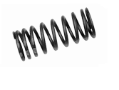 valve siprings