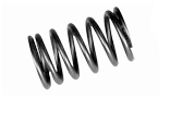 Valve springs