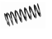 Valve springs
