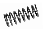 Valve springs 