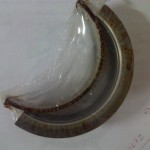 OM444LA-OM442LA ana yatak